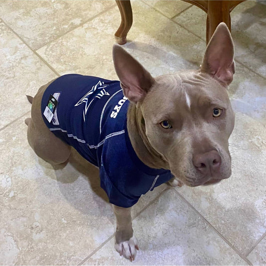 Little Earth Productions - Dallas Cowboys Official Pet Jersey