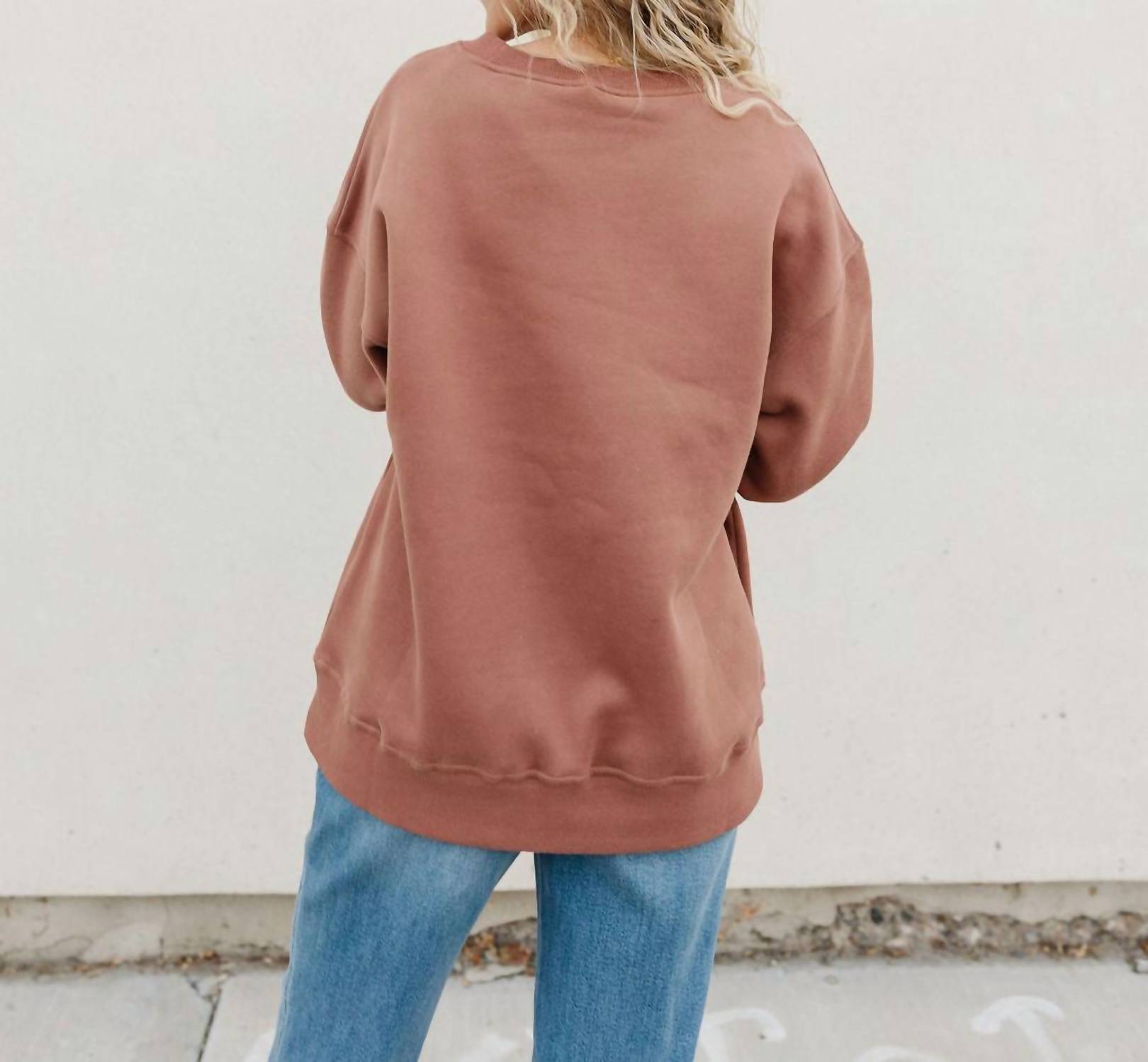 JADE BY JANE Ruth Pullover Top in brown - women's long sleeve top - alternate view