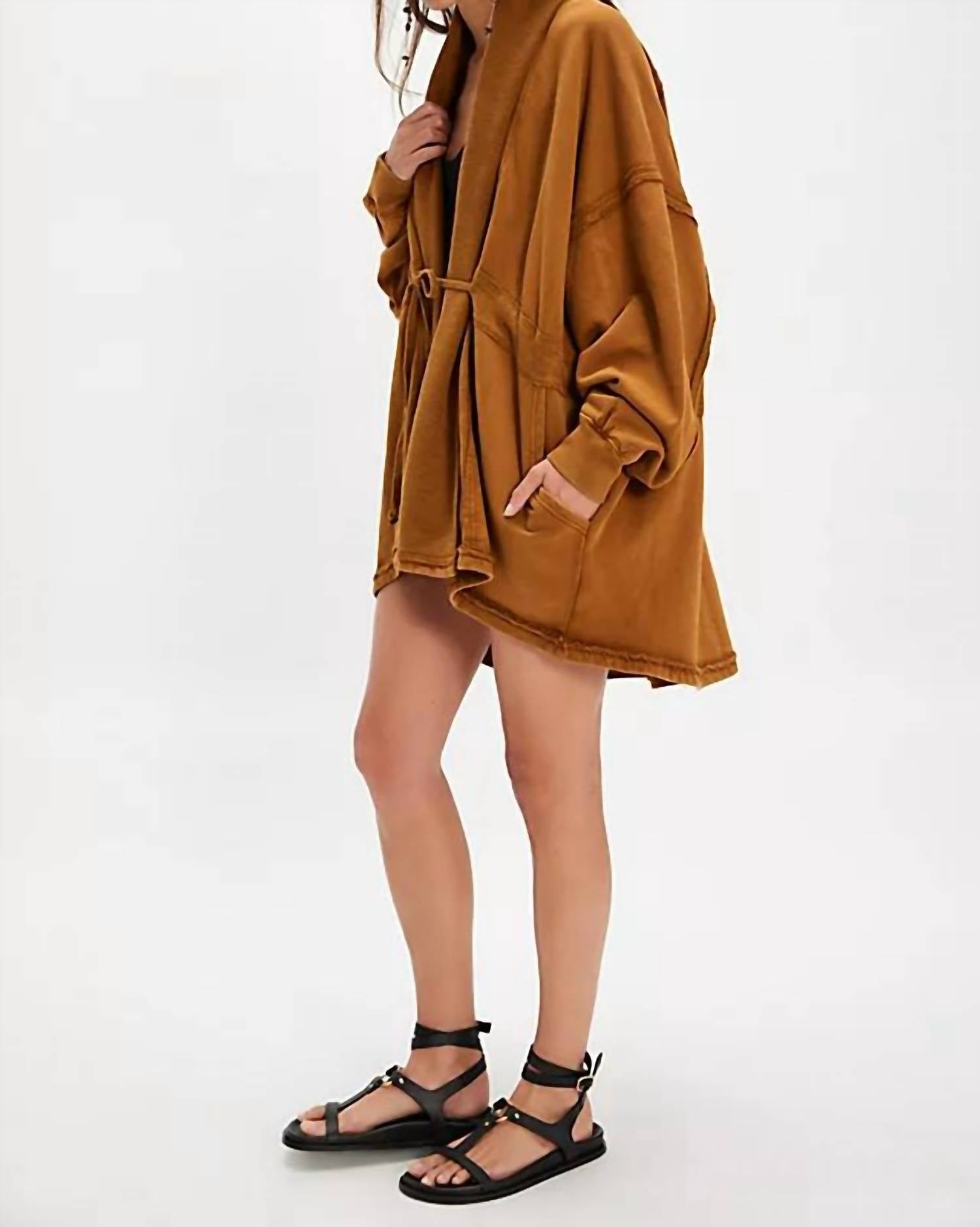 Free People Boothbay Long-Sleeve Sweatshirt in chai tea - women's top - detail view
