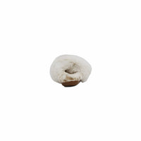 Aetrex - Women's Misty Closed Toe Slipper