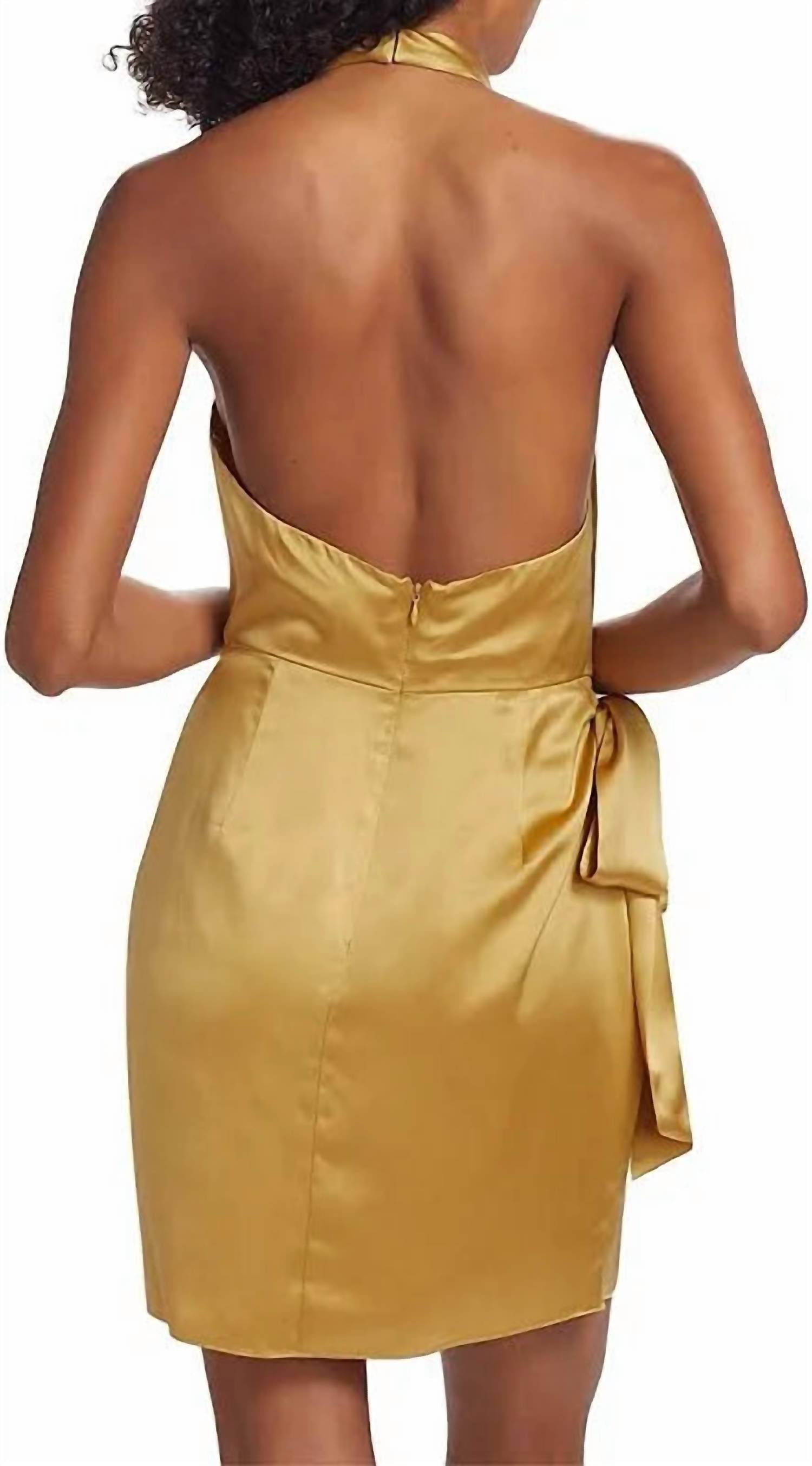 Amanda Uprichard - Mating Silk Dress