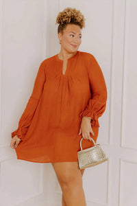 Flawless - Patio In Paris Shift Dress - Plus