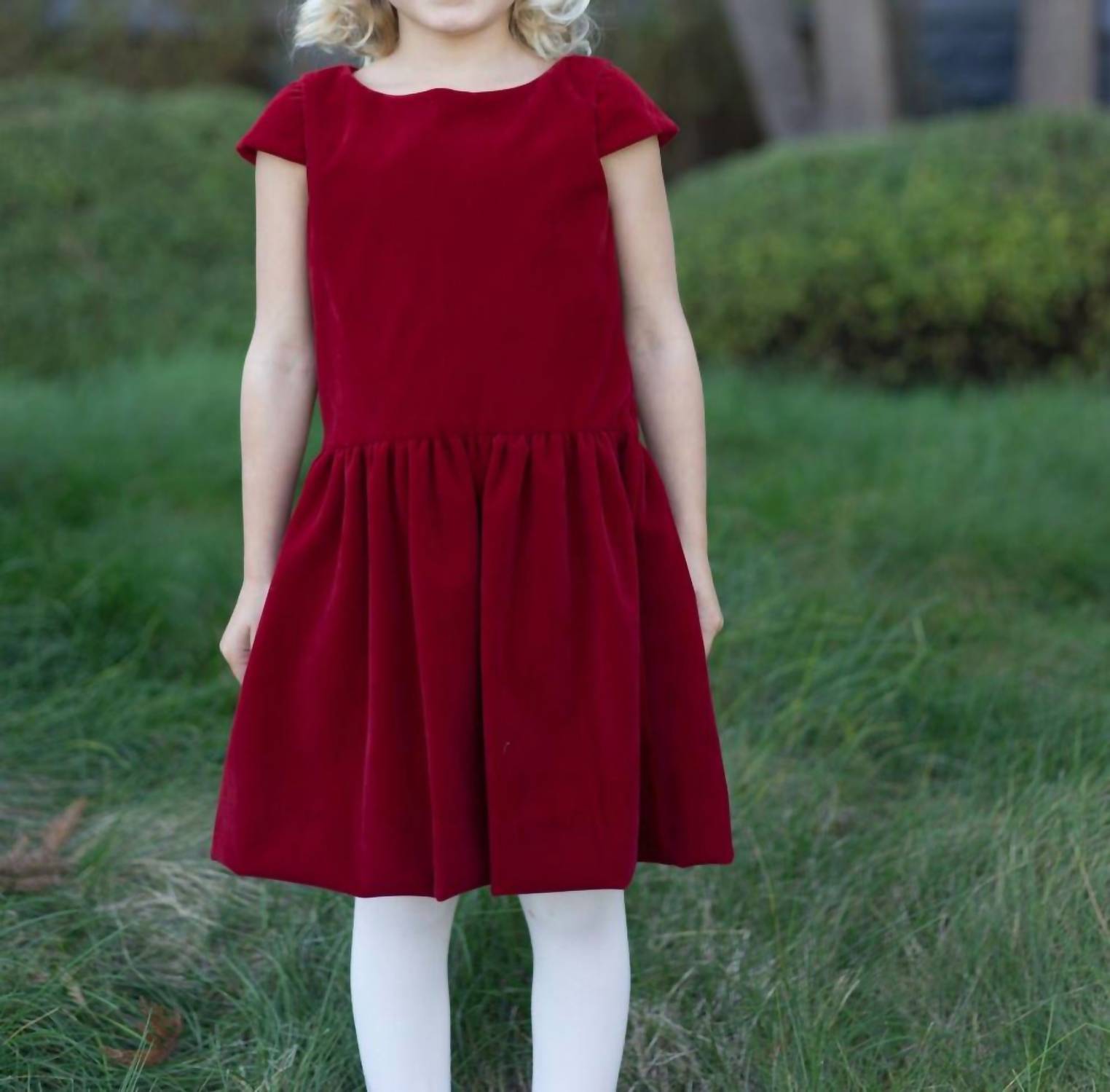 Busy Bees - Alexa Dropwaist Party Dress