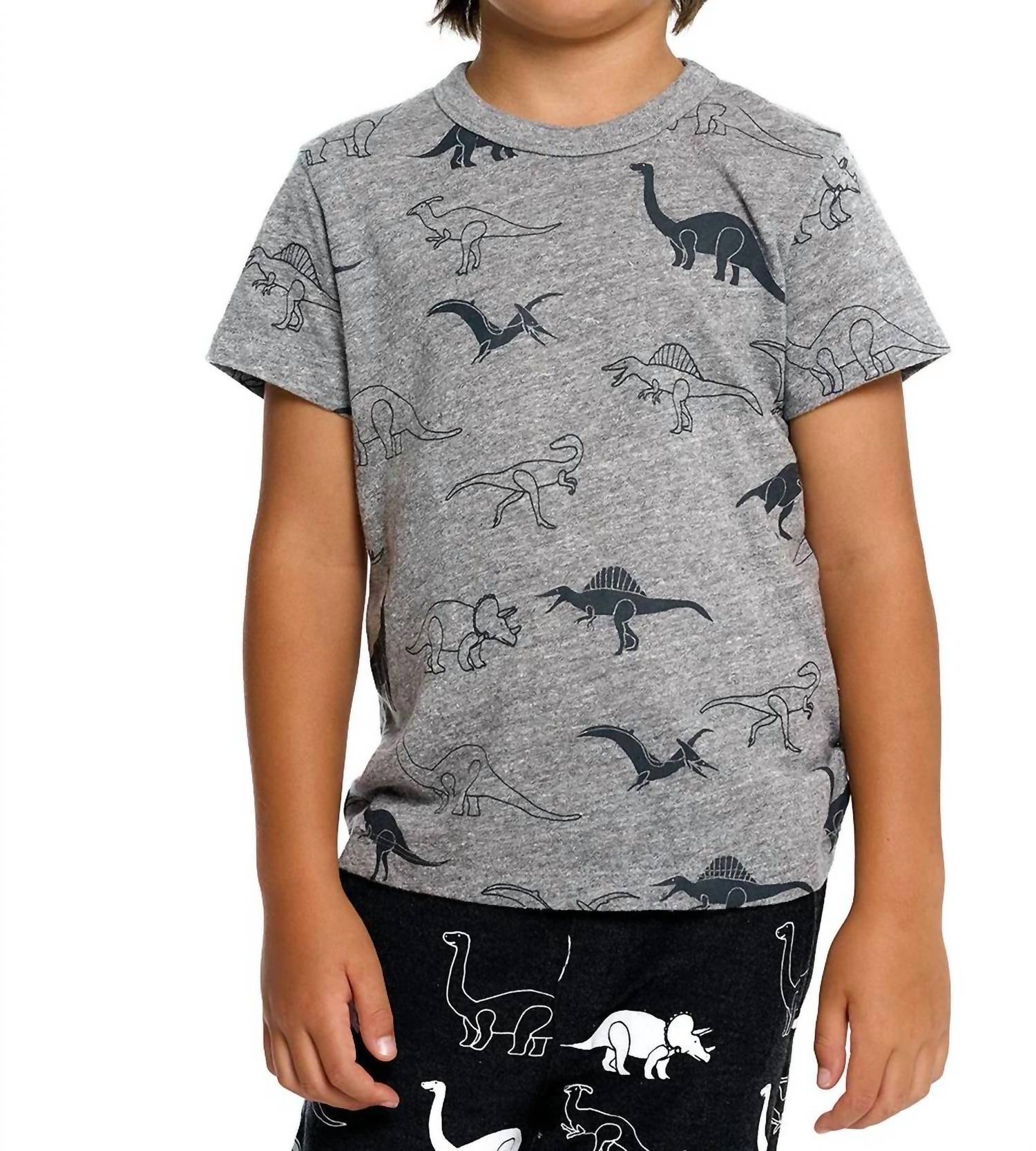 Chaser - Boy's Dino Jam Short Sleeve Tee