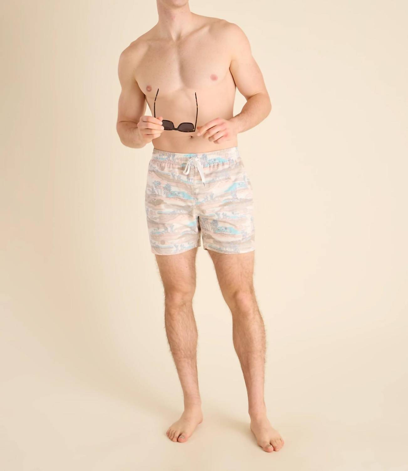Chubbies - Day Trips 5.5" Classic Swim Trunks