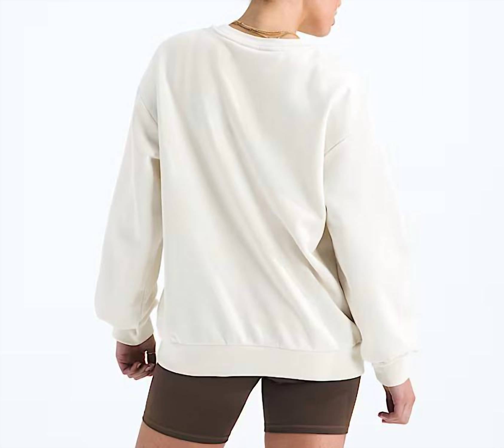 THE NORTH FACE Evolution Simple Dome Oversized Crewneck Sweatshirt in white dune - women's top - detail view