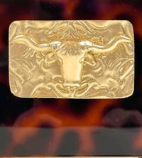 Southern Tribute Gifts Longhorn Acrylic Match Strike in brown - item - detail view
