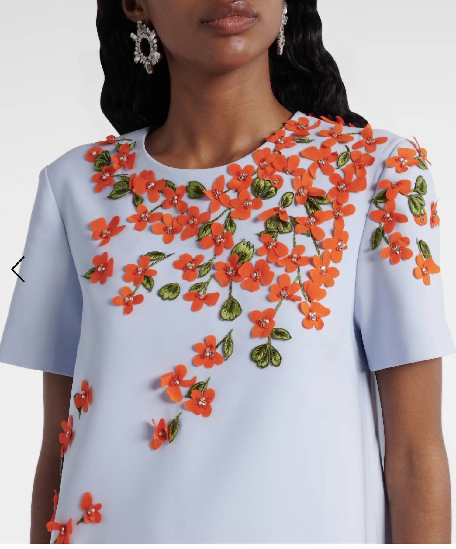 Carolina Herrera - Embroidered Short Sleeve Dress