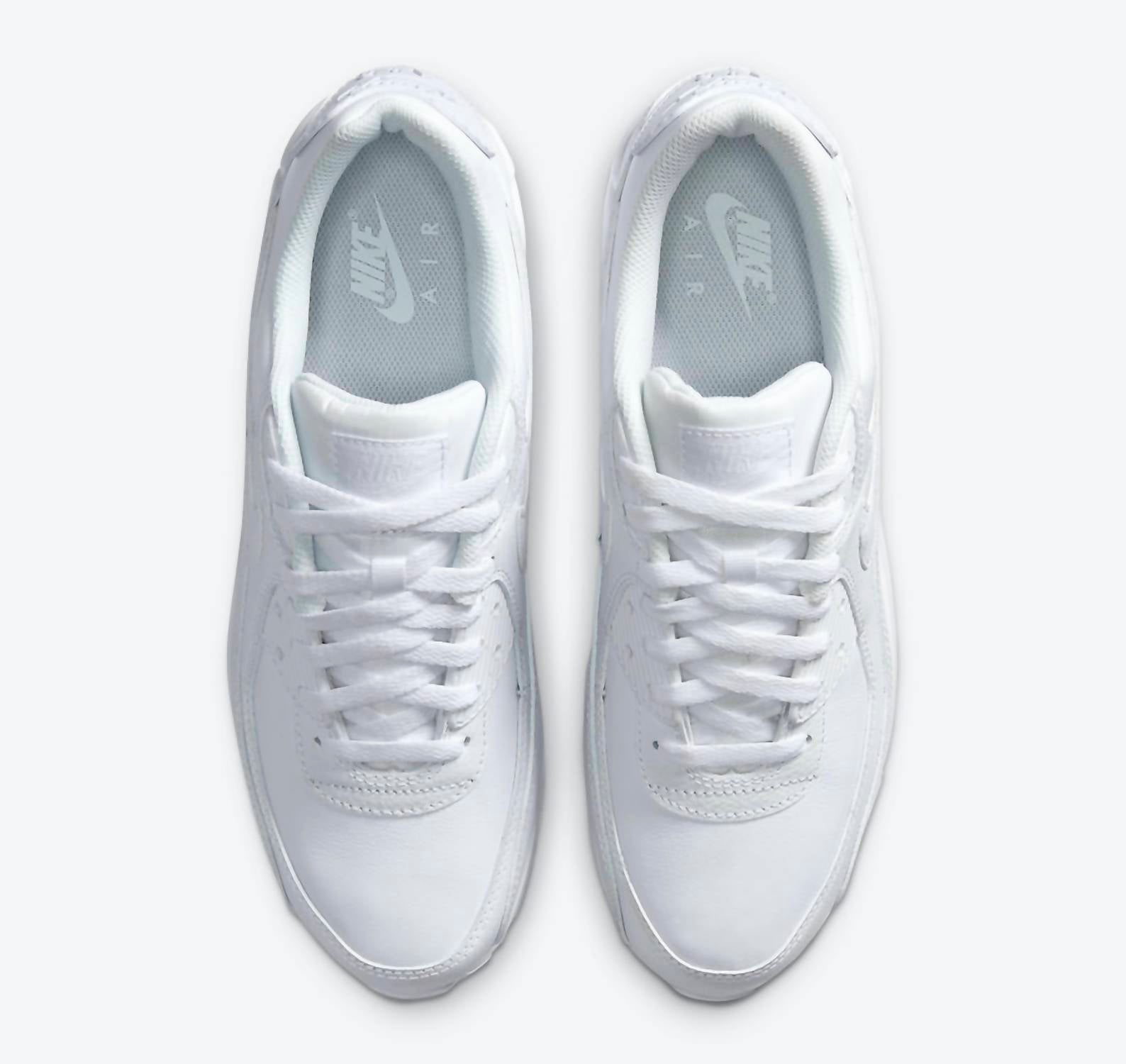Nike - Men's Air Max 90 LTR Shoes