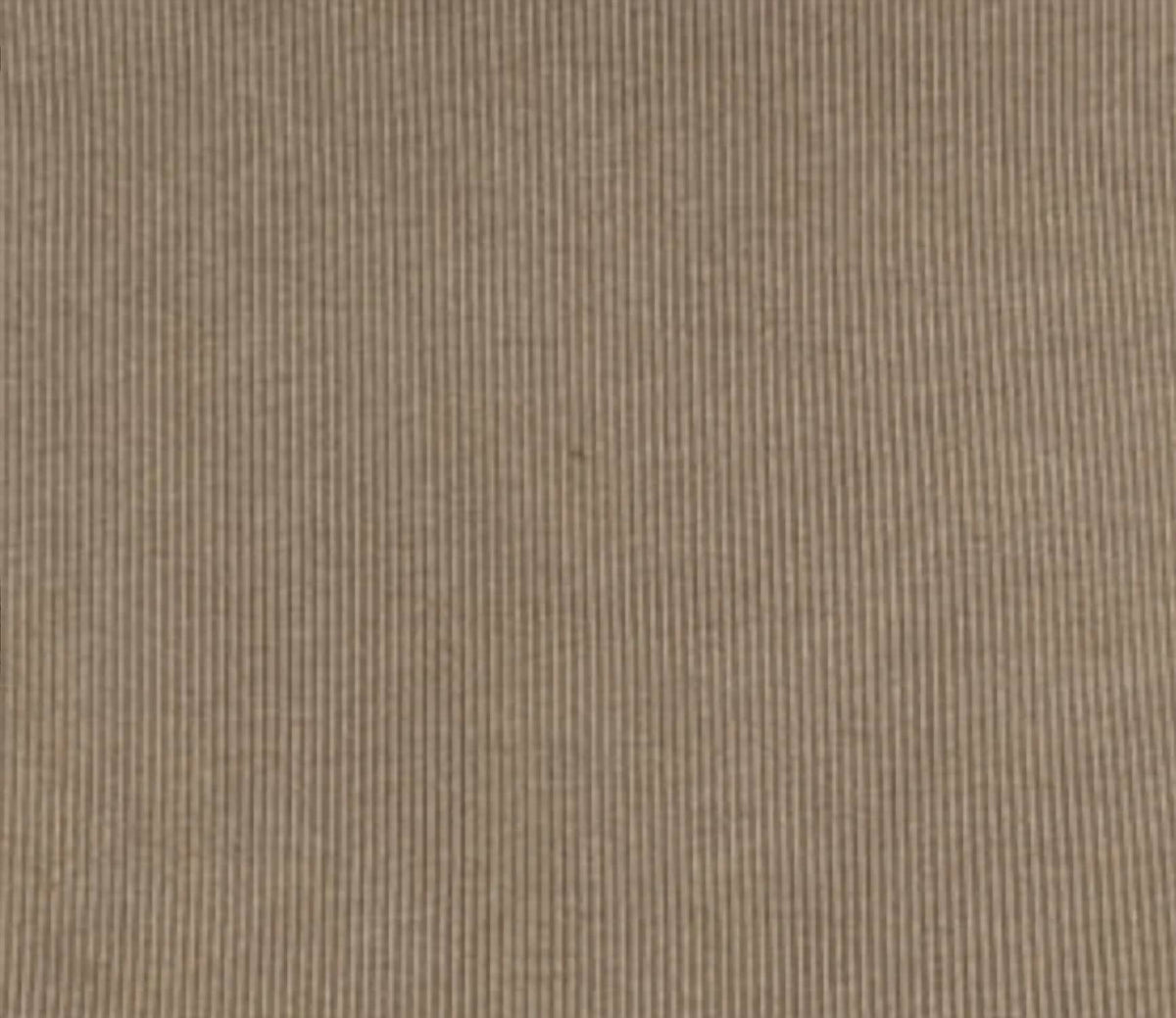 Agolde - Low Slung Baggy Jean