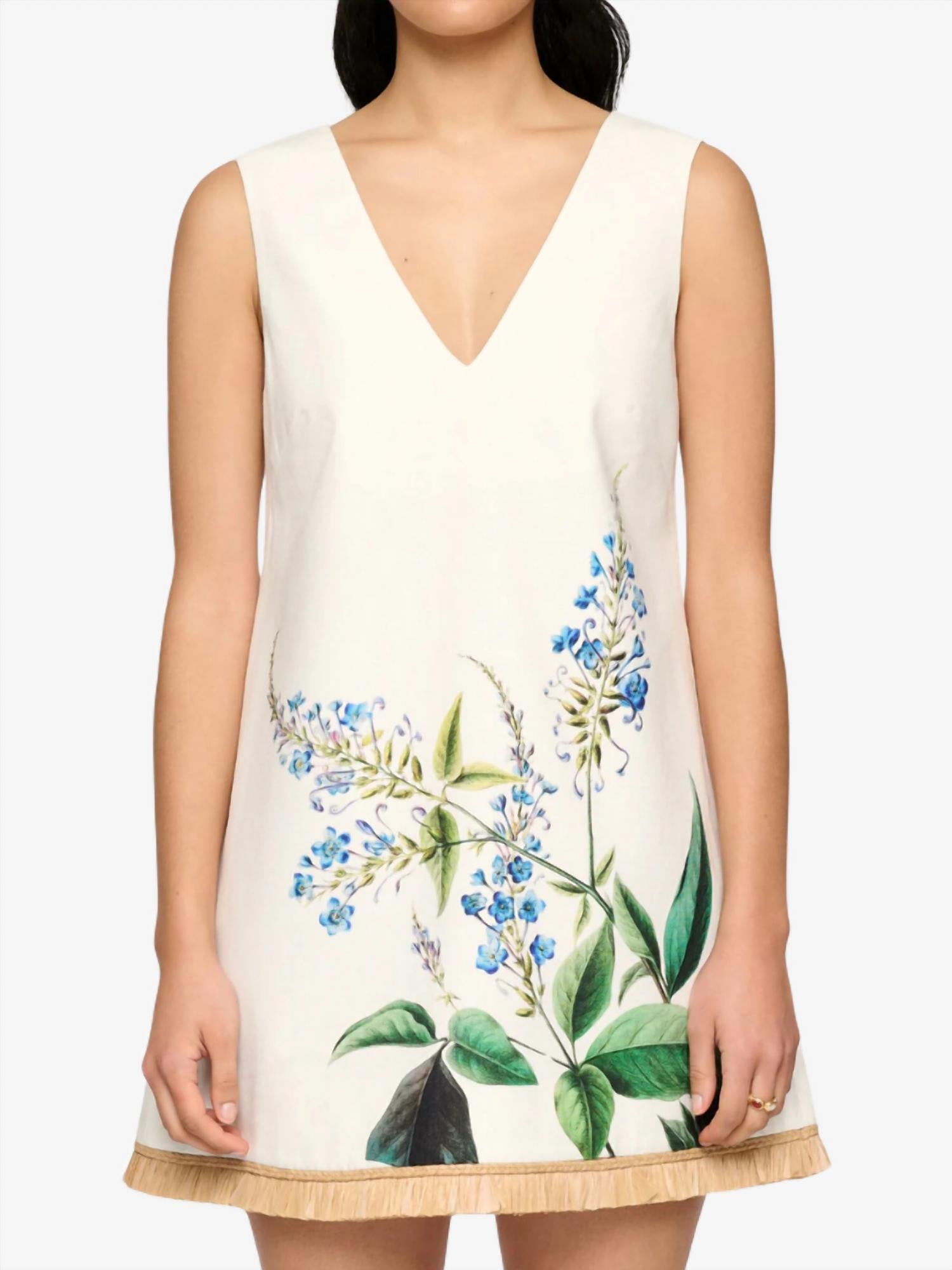Clea - Pepe Mini Dress