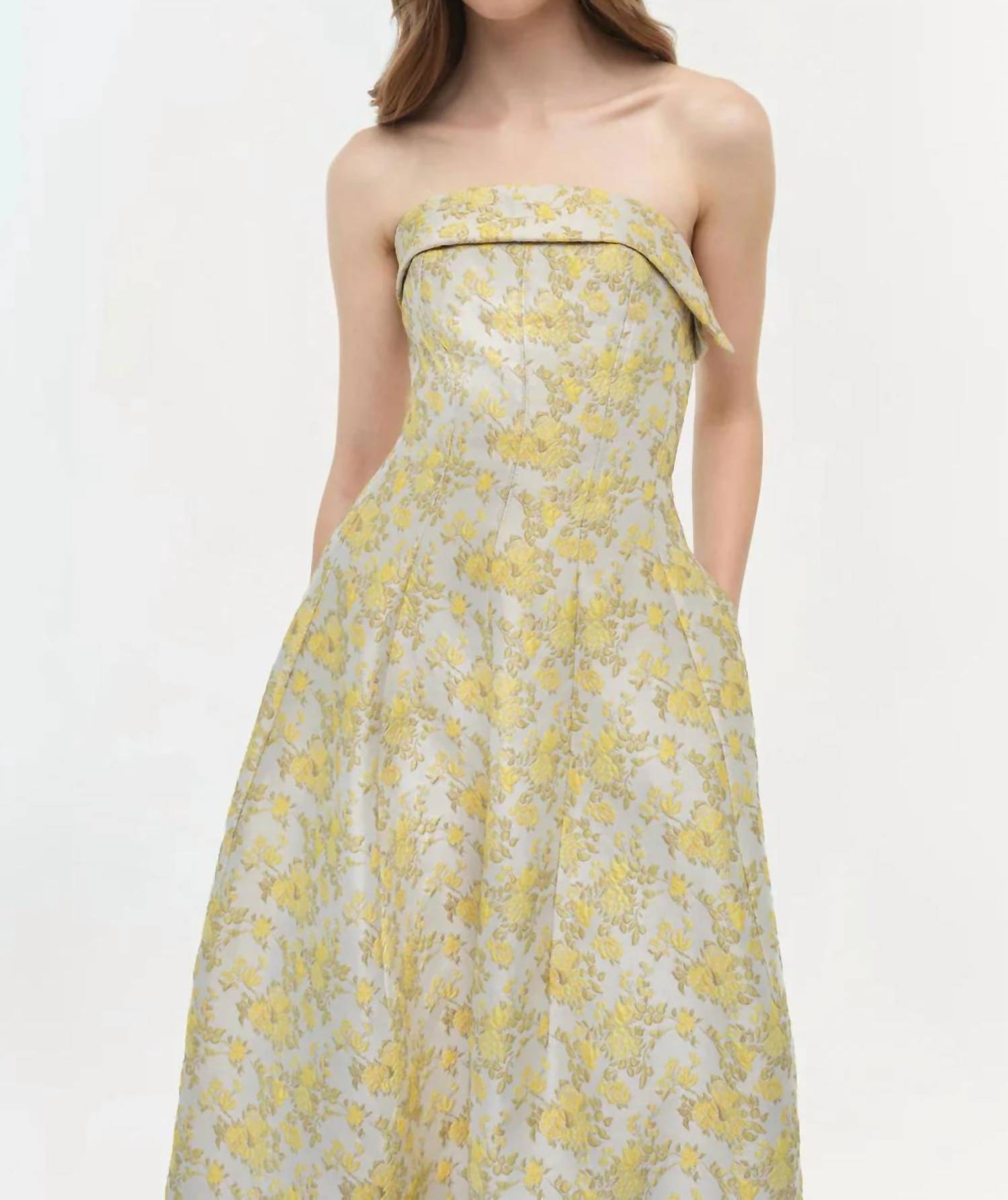 Simkhai - Octavia Strapless Gown
