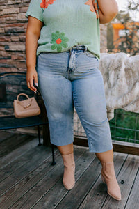 Judy Blue - Ariana Midrise Wide Leg Jeans - Plus