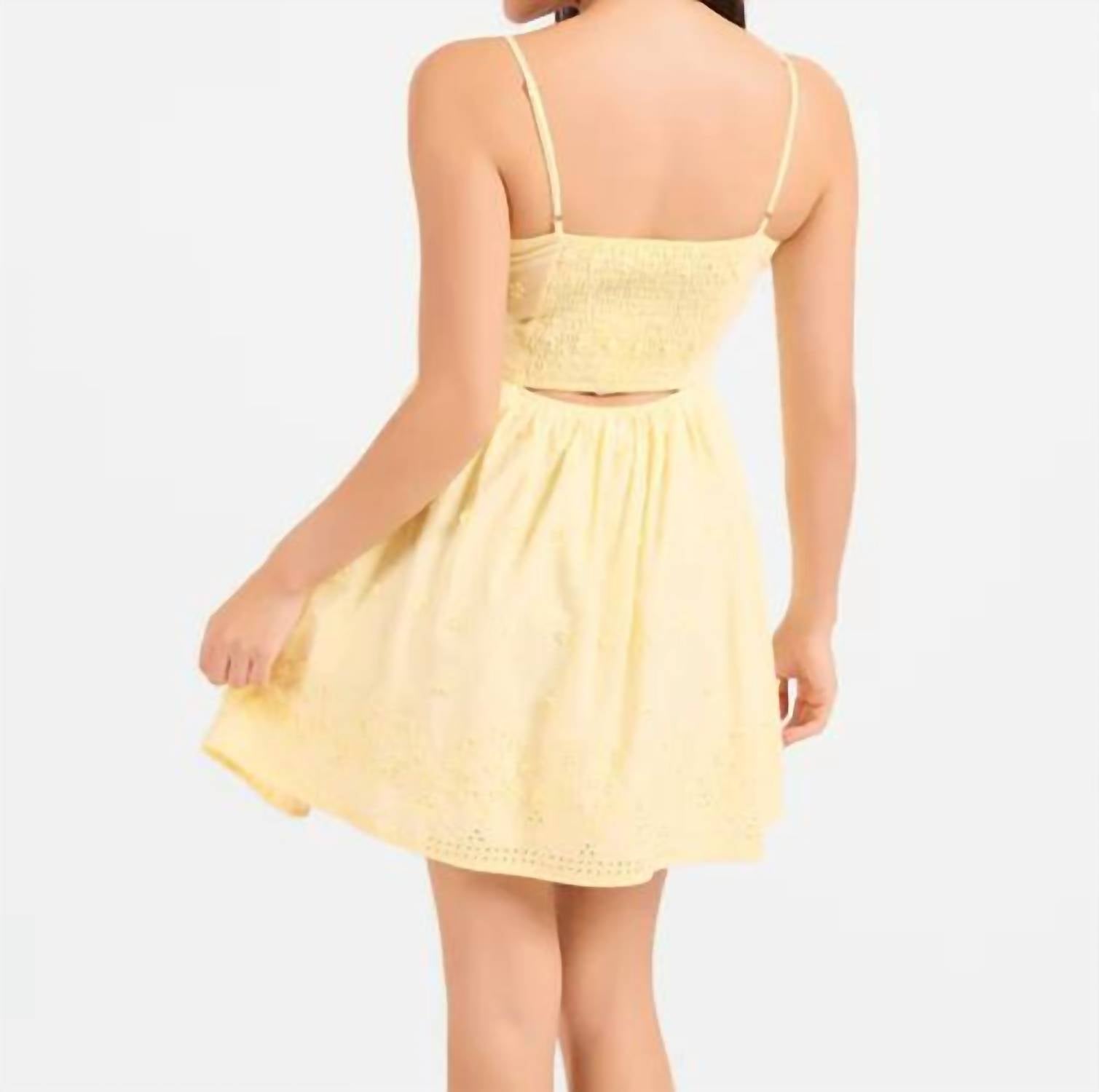 Sadie & Sage - Beachglass Embroidered Mini Dress