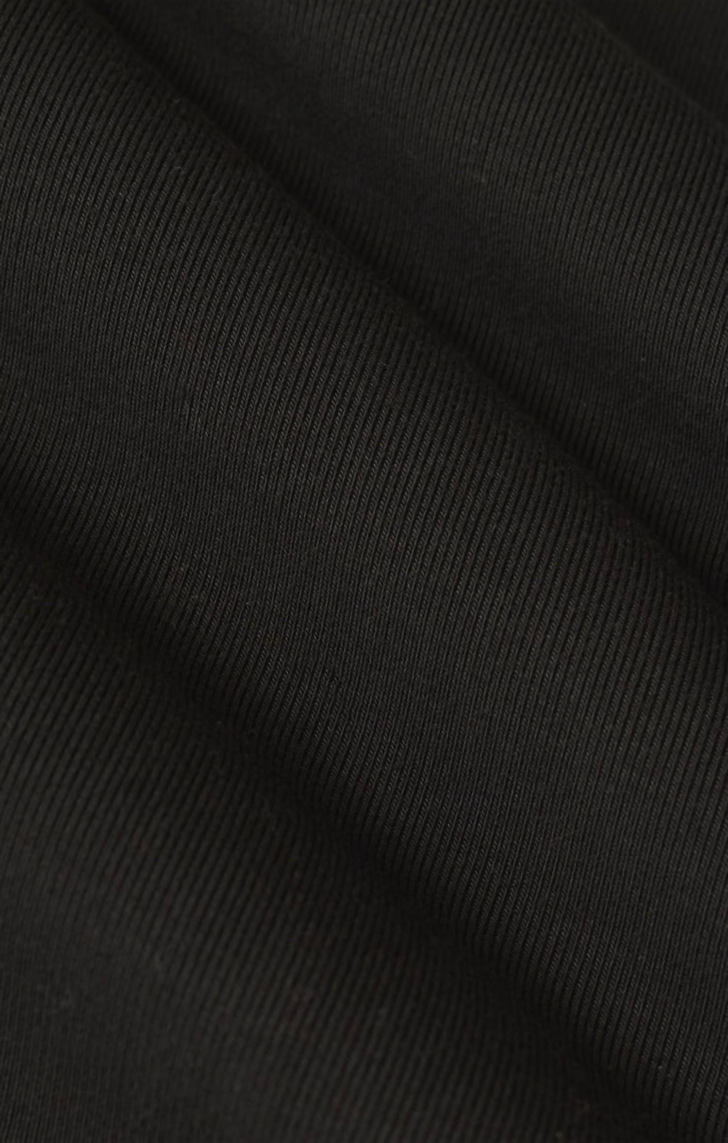 Z Supply Second Skin Crew Long Sleeve Top in black 1 - women's long sleeve top - view 4
