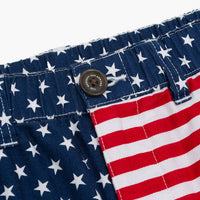 Chubbies - Boys Youth Mericas Shorts