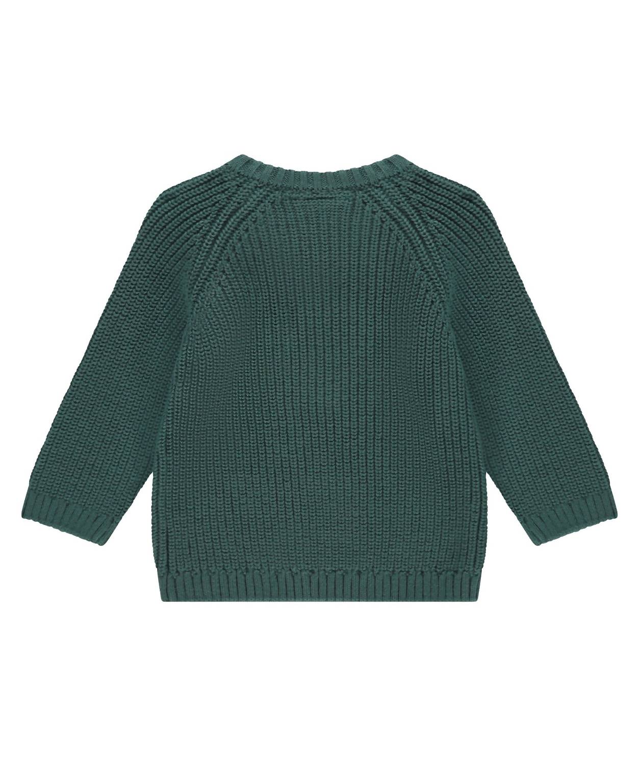 Babyface - Boy's Baby Pullover Sweater