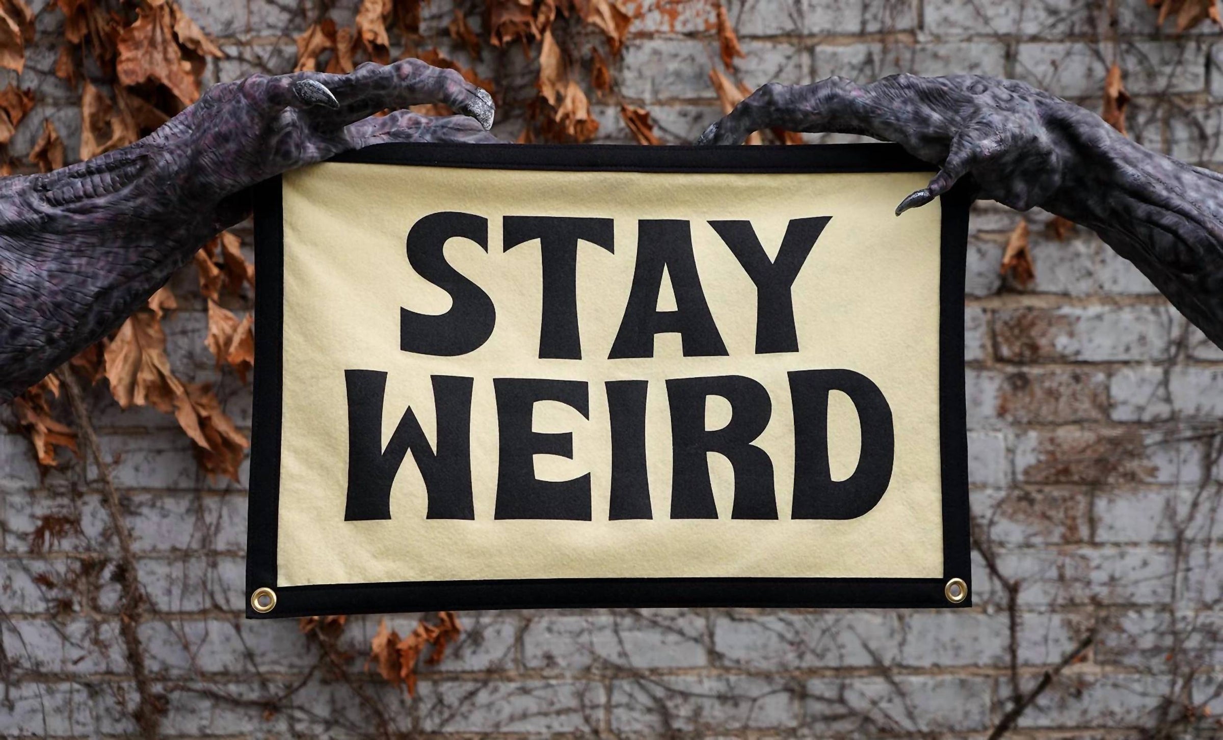 Oxford Pennant - Stay Weird Camp Flag