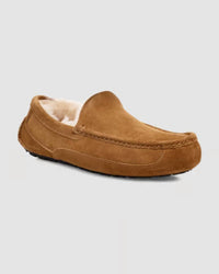 Ugg - Men's Ascot Slipper
