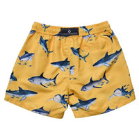 Snapper Rock - Boys Sunrise Shark Volley Board Shorts