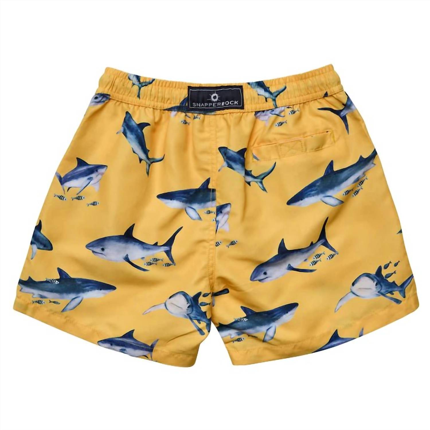 Snapper Rock - Boys Sunrise Shark Volley Board Shorts