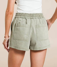 Z Supply - Summerland Short