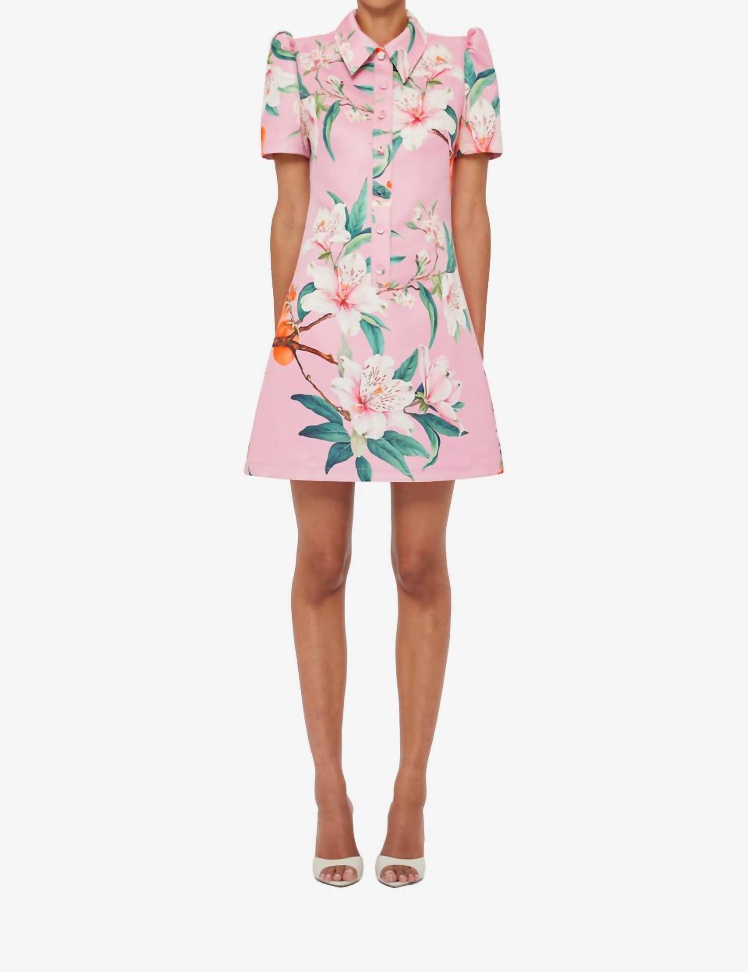 Leo Lin - Brooke Mini Dress
