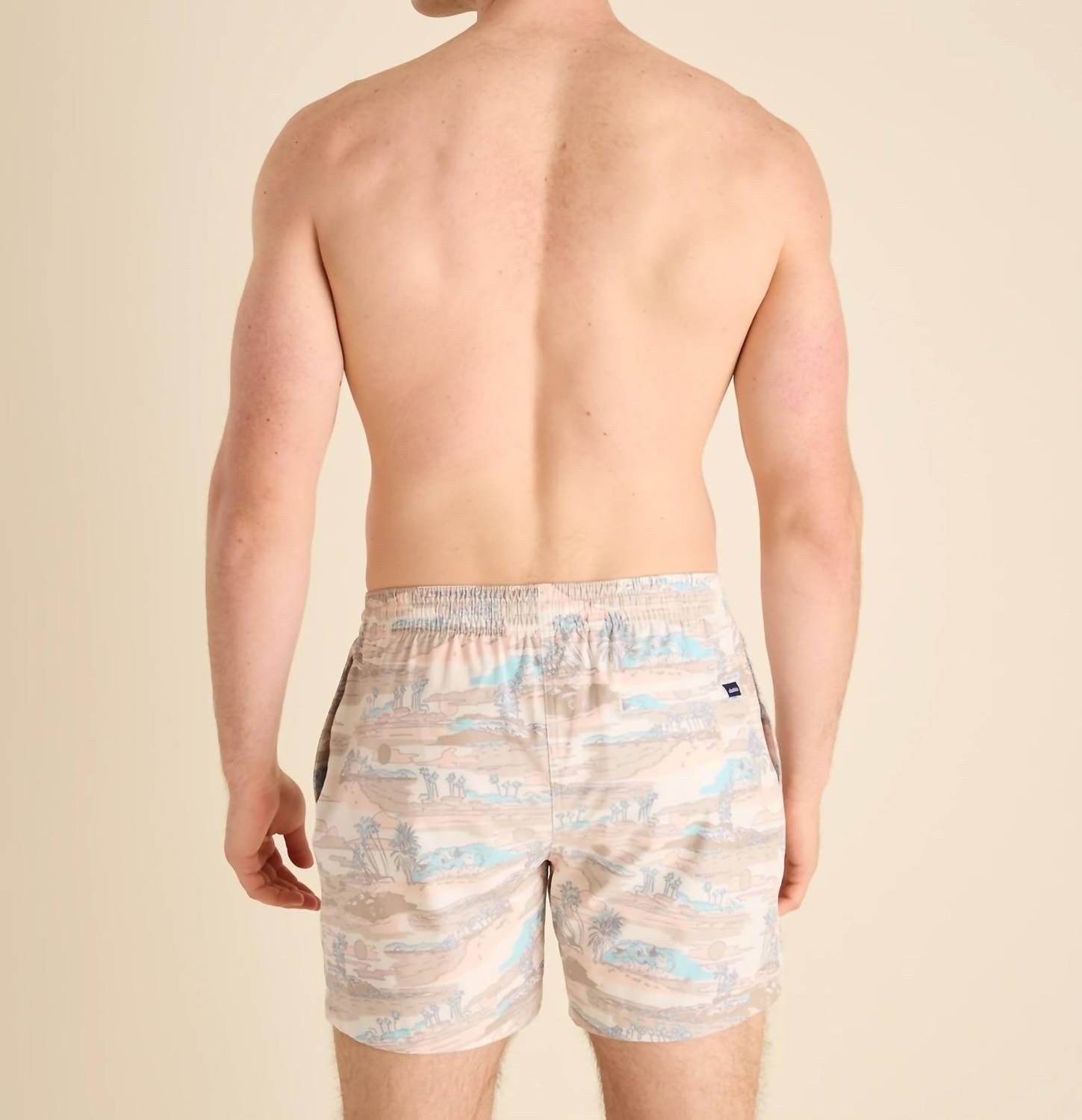 Chubbies - Day Trips 5.5" Classic Swim Trunks