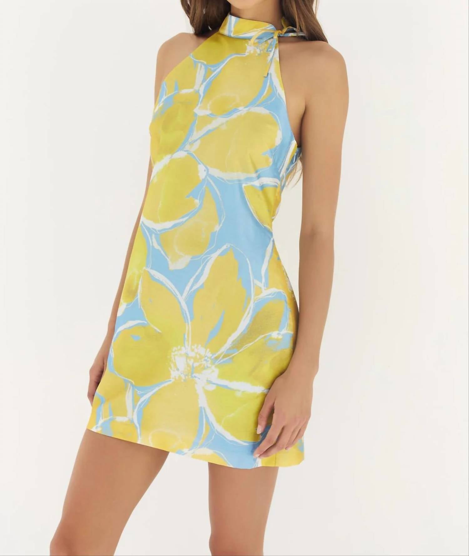 Hutch - Nami Mini Dress