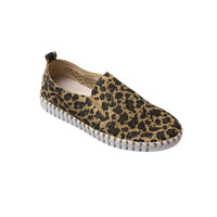 Ilse Jacobsen - WOMEN'S TULIP 3972 SHOE