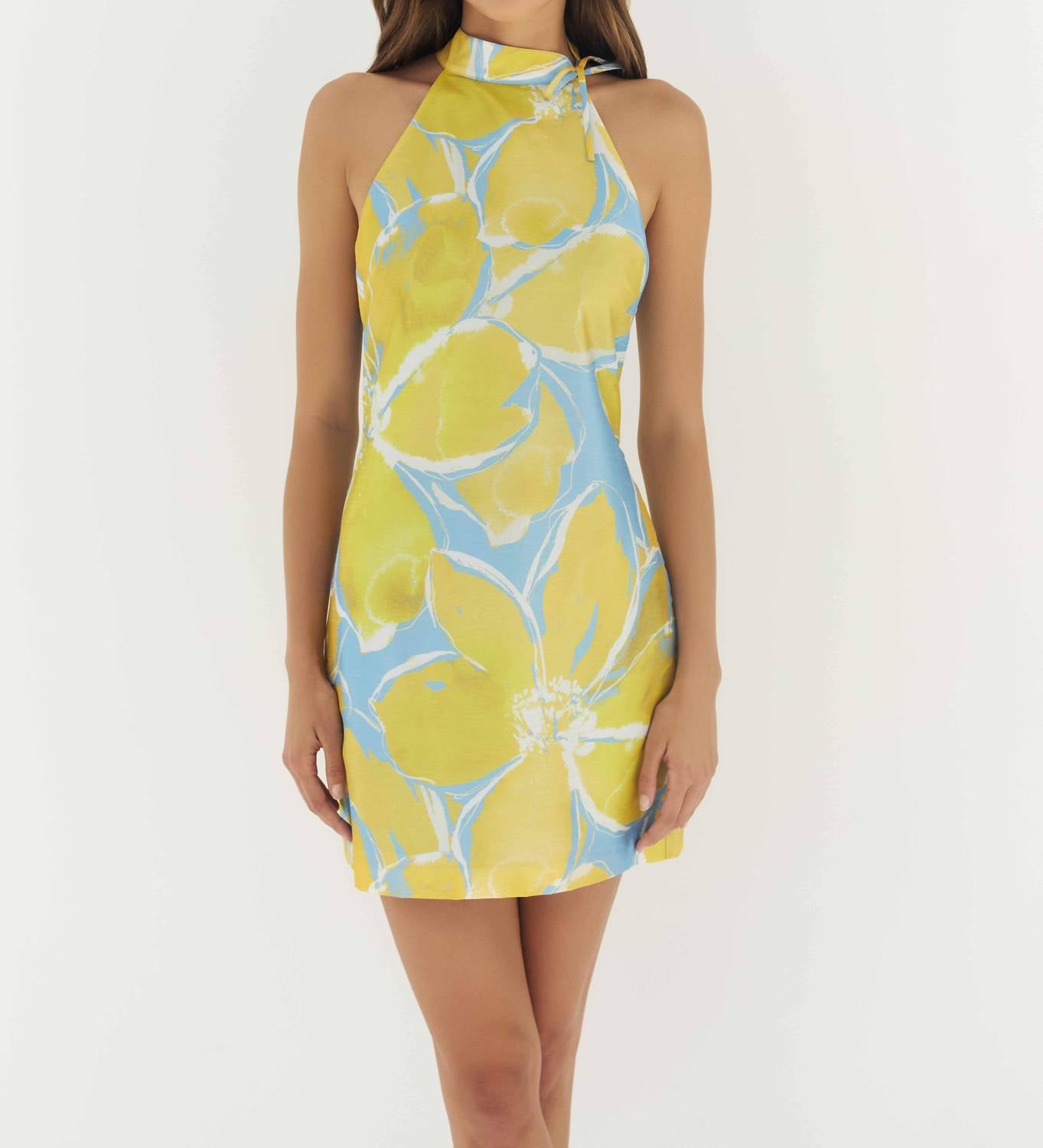 Hutch - Nami Mini Dress