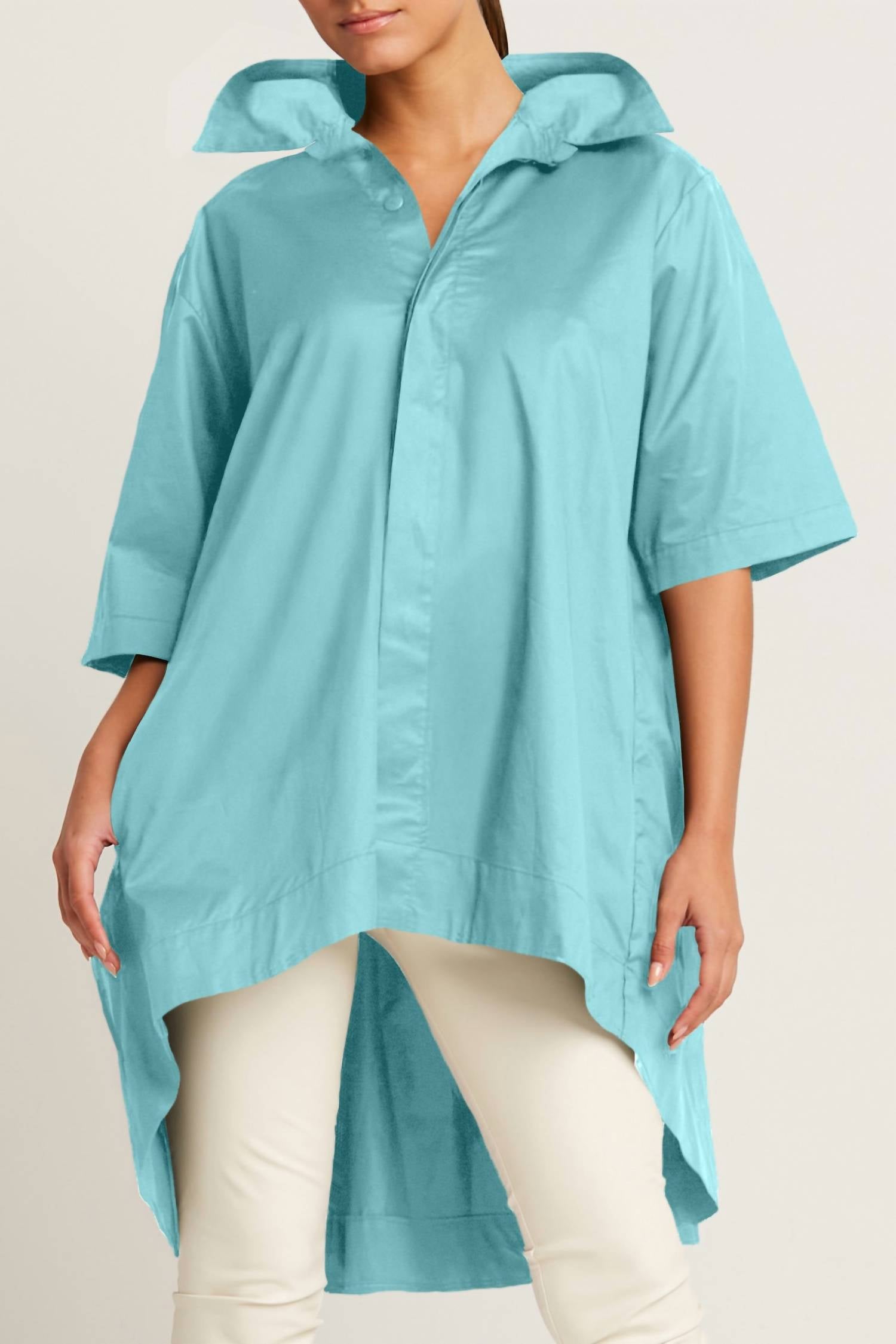Planet By Lauren G. - Pleat Back Shirt