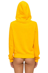 Aviator Nation - Mountain Stitch Chevron Zip Hoodie