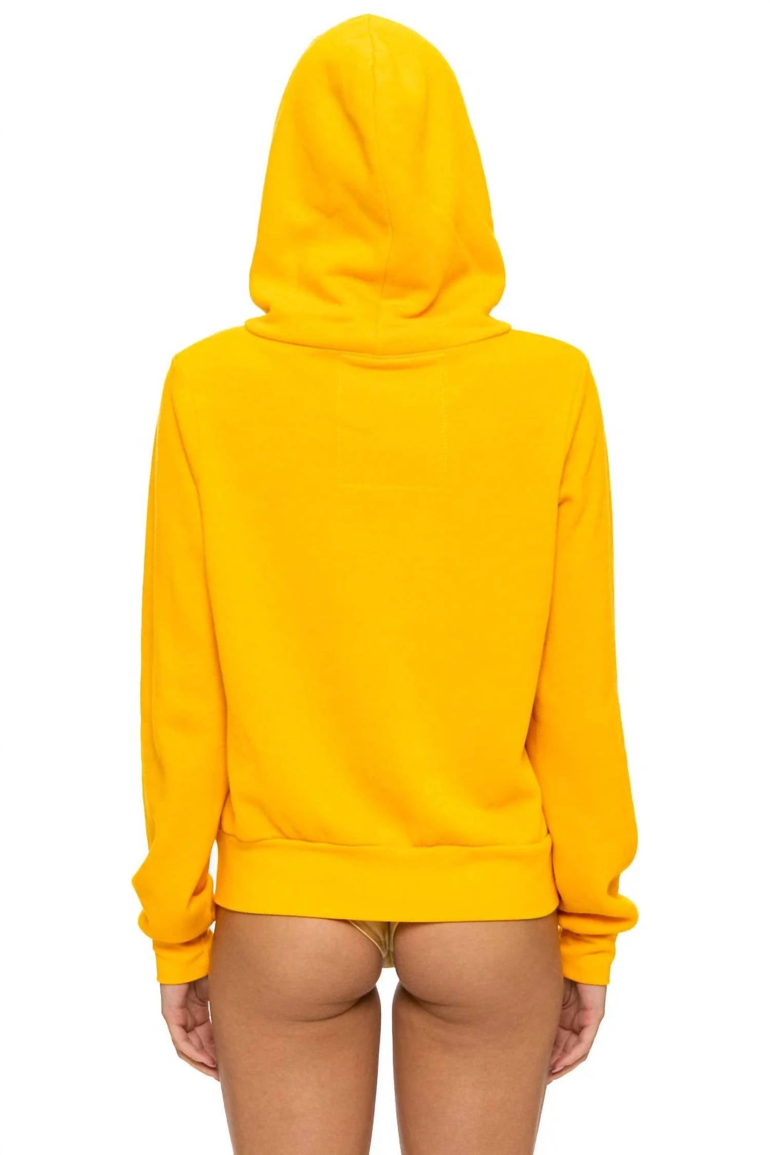 Aviator Nation - Mountain Stitch Chevron Zip Hoodie