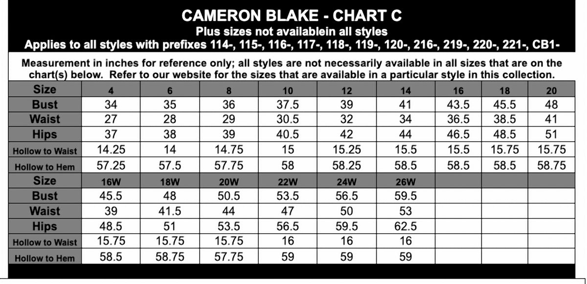 Cameron Blake - Sleeveless Allover Lace Gown