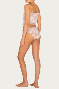 GARDENIA BRIEF