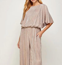 See And Be Seen - Metallic Pleats Jumpsuit