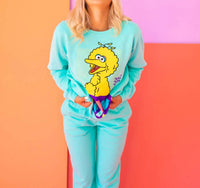 People Of Leisure - Sesame Street Big Bird Sweatshirt