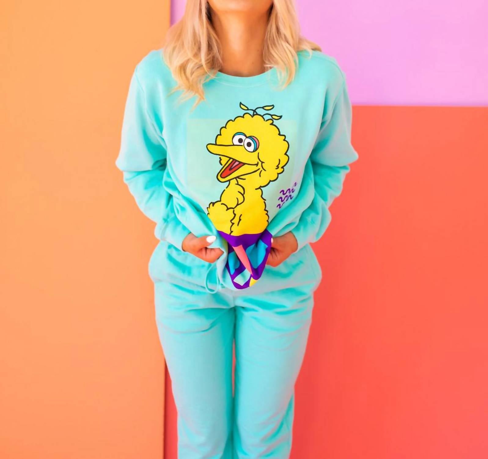 People Of Leisure - Sesame Street Big Bird Sweatshirt