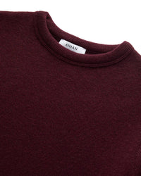 Anian The Cashmino Crewneck Top in merlot - men's sweater - view 5
