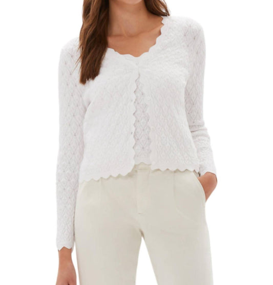 Ecru - Pointelle Stitch Cardigan