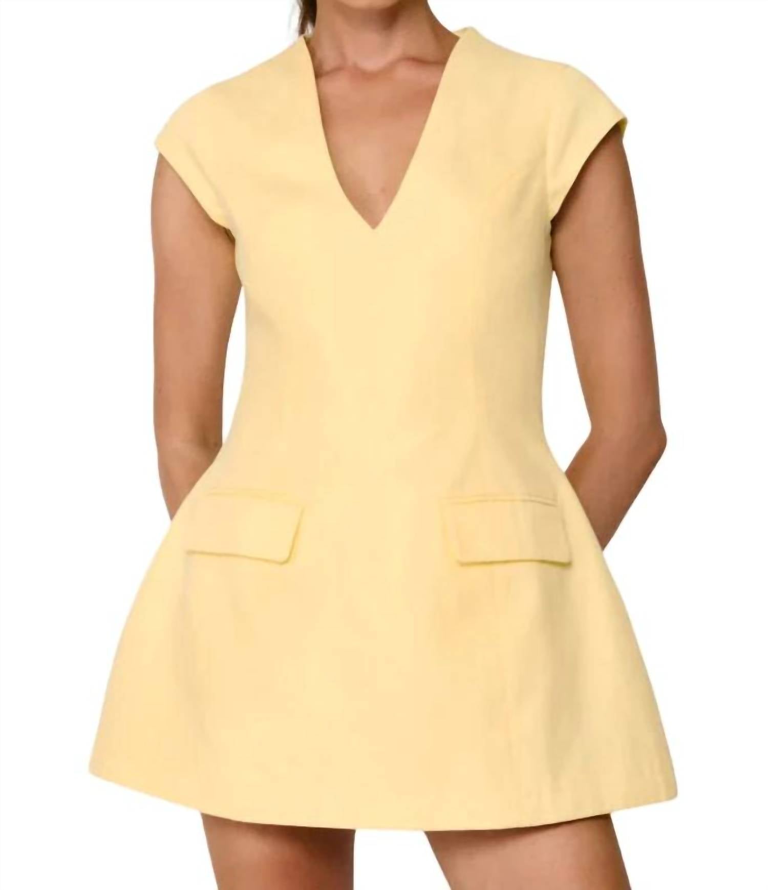 Line And Dot - Eleodra Mini Dress