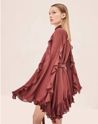 ALEXIS Giovanna Long Sleeve Mini Dress Dress in burnt sienna - women's dress - alternate view