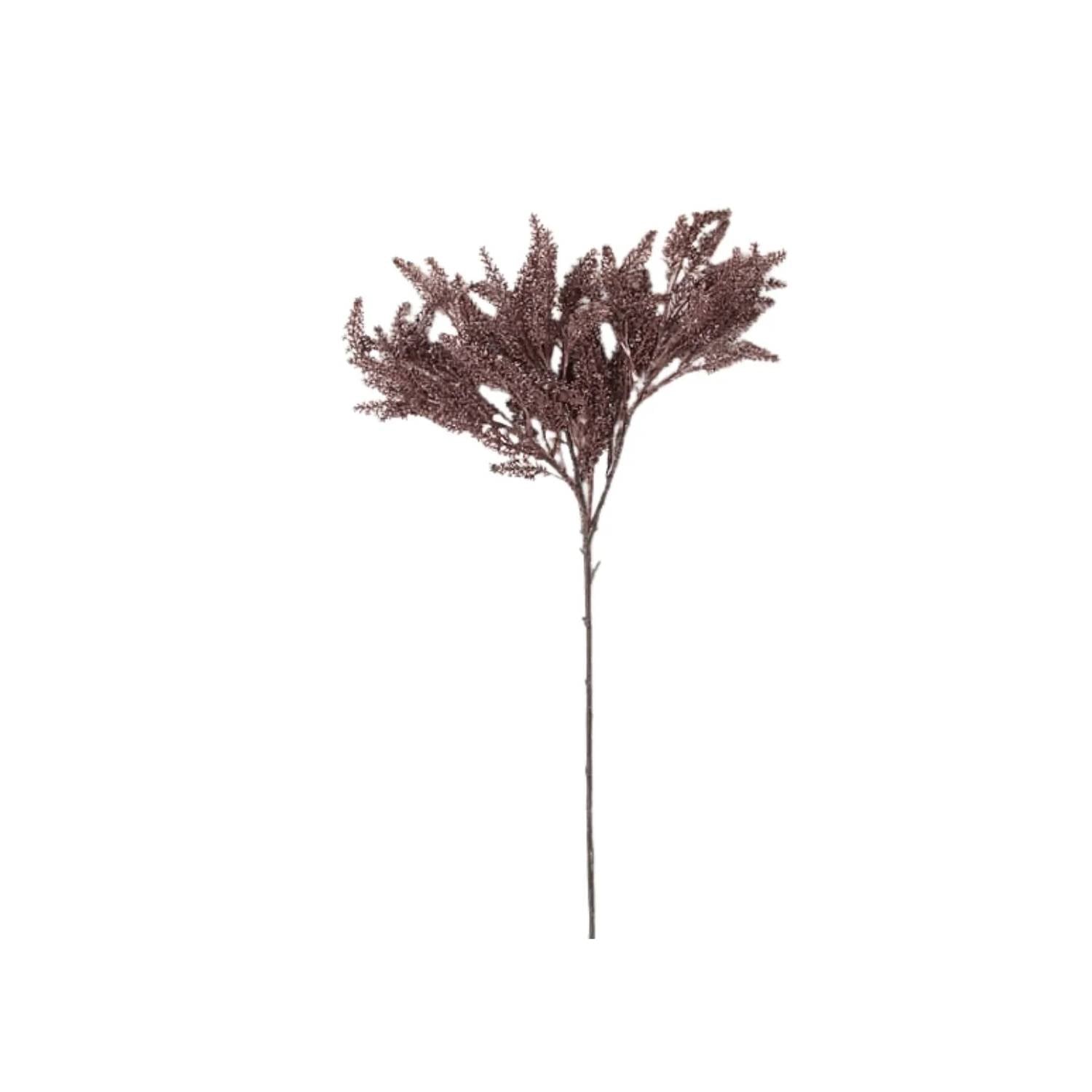 Sullivans - Grass Spray - Set Of 3