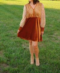 mystree Velvet Mix Mini Dress in gold brown - women's dress - view 5