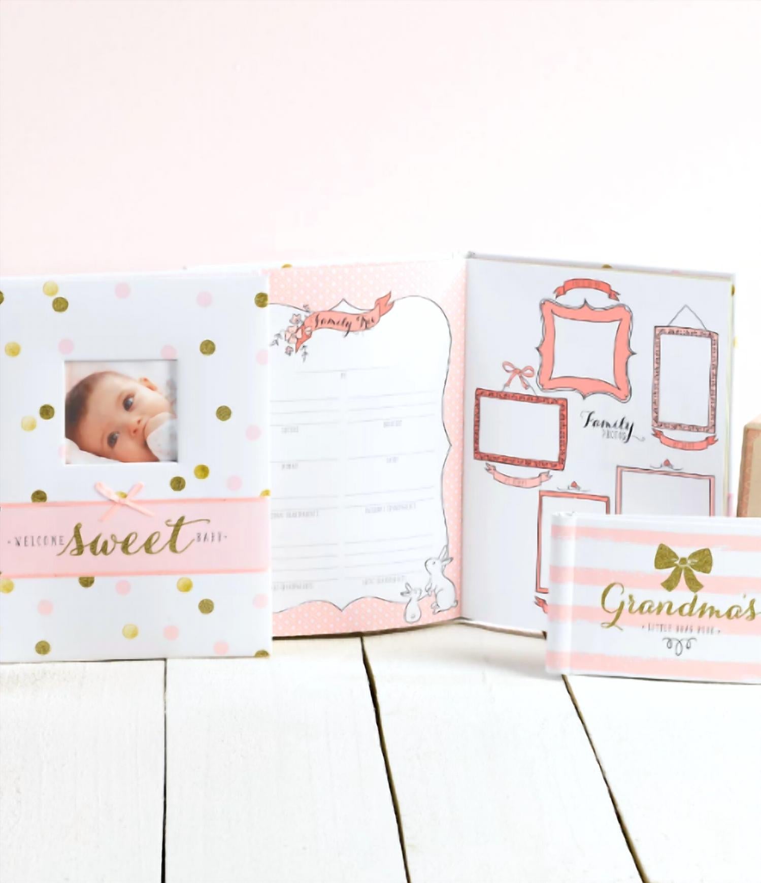 CR Gibson Welcome Sweet Baby Memory Book in pink - item - alternate view
