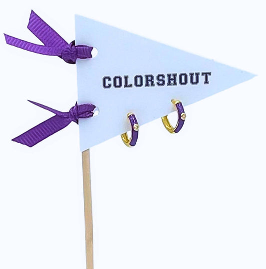 Color Shout - Women's 10 Things I Love About Hoops