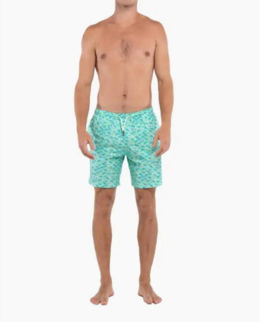 Bermies - Men's Board Shorts