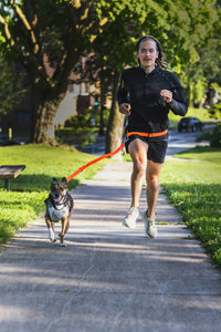 Stunt Puppy Stunt Runner™ Hands-free Leash in orange - item - alternate view
