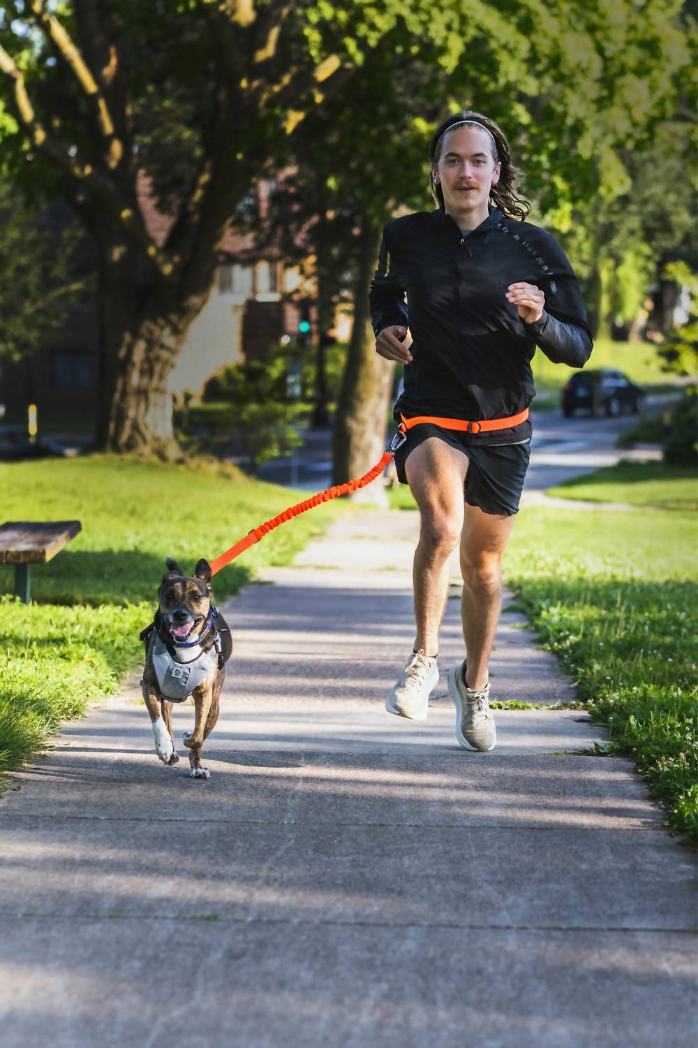 Stunt Puppy Stunt Runner™ Hands-free Leash in orange - item - alternate view